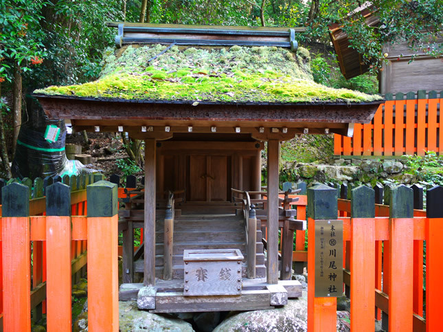 賀茂別雷神社13