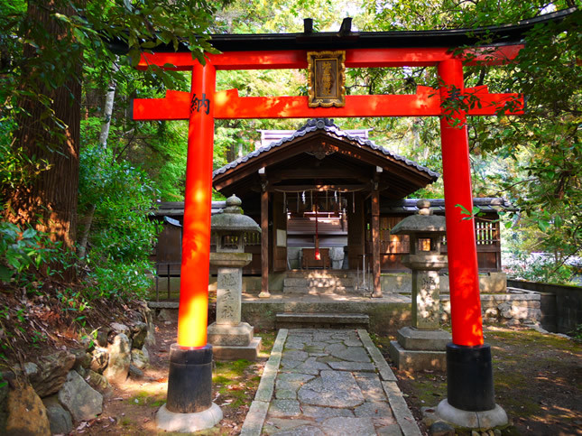 今宮神社14