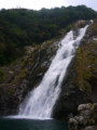 [屋久島]大川の滝