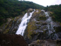 [屋久島]大川の滝