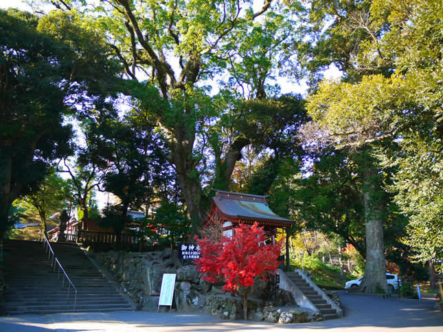 f:id:west06:20120113192307j:image:w480 f:id:west06:20120113192307j:image:w480