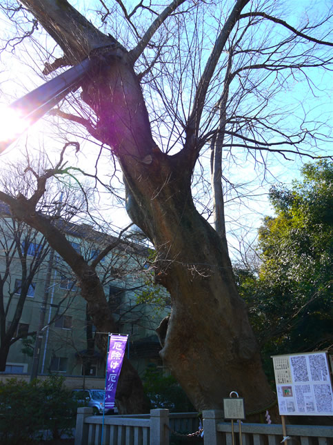f:id:west06:20130303211355j:image f:id:west06:20130303211355j:image