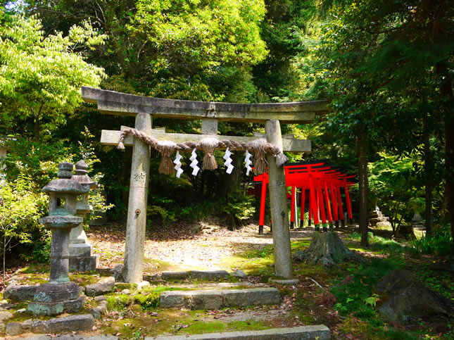 伊射奈岐神社(天理市)10