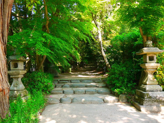 f:id:west06:20130526180822j:image