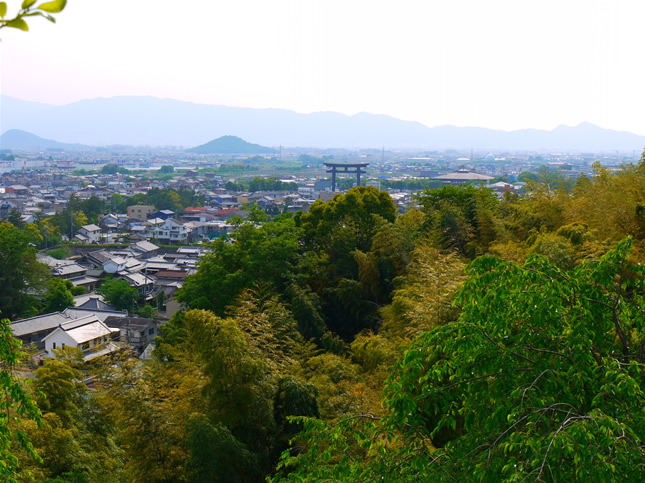 大神神社15