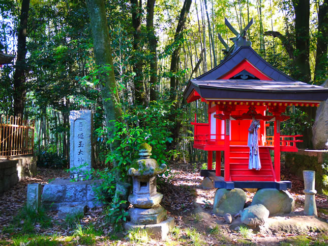 姫丸稲荷神社10