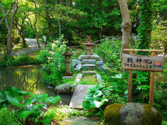 等彌神社16