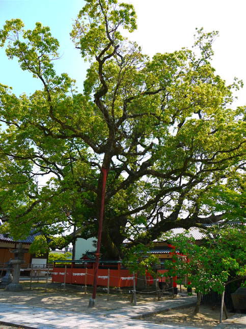 龍田神社07