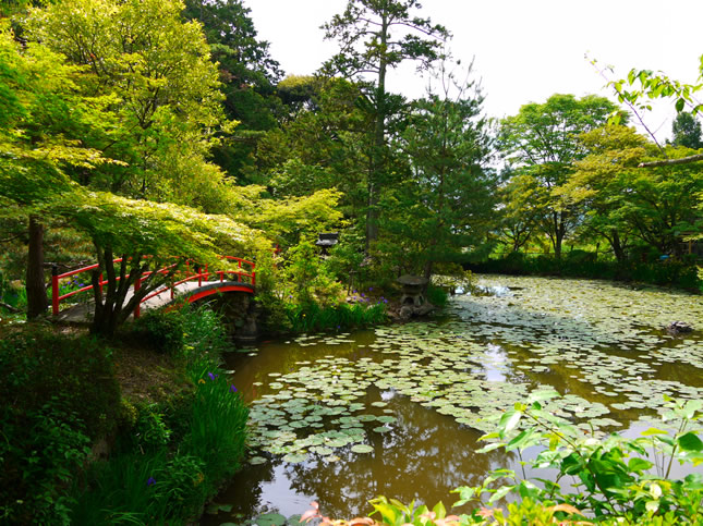 大原野神社13