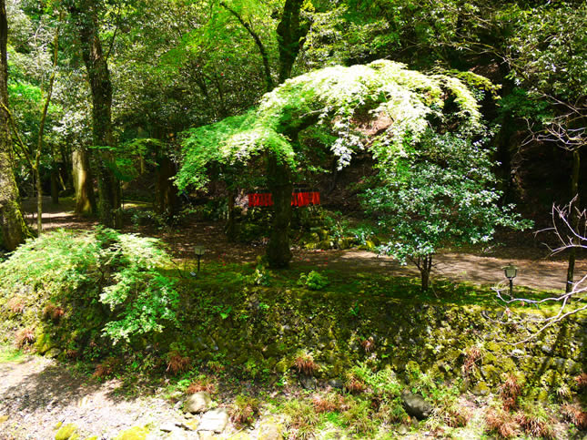 貴船神社25