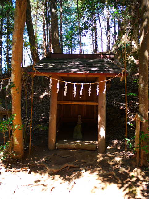 虎柏神社