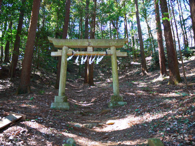 虎柏神社