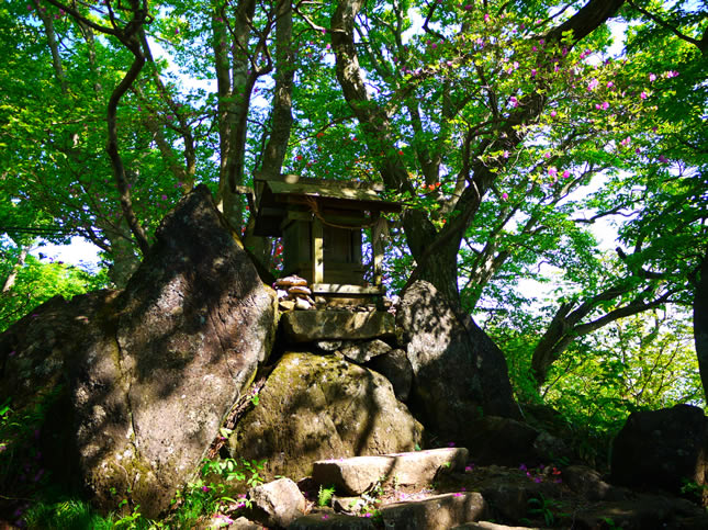 筑波山神社