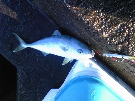 f:id:westberg:20111030174019j:image f:id:westberg:20111030174019j:image