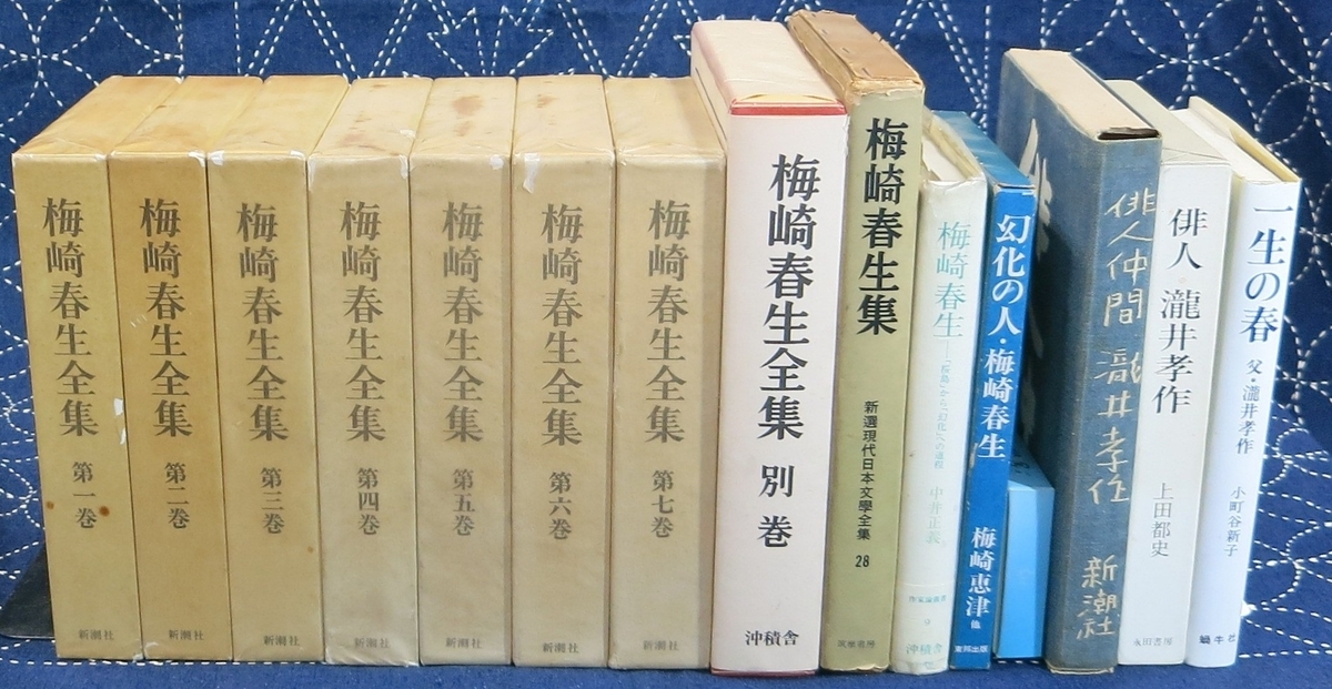 芸のある文章 - 一朴洞日記