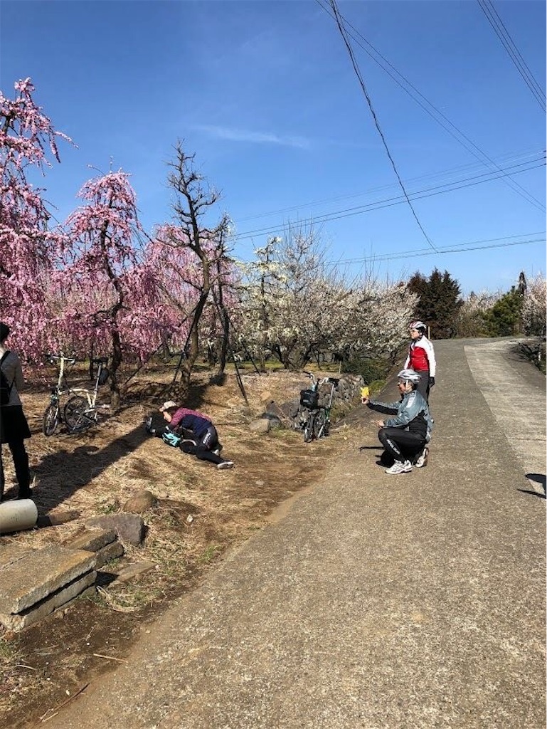 f:id:weststreet:20180304233656j:image f:id:weststreet:20180304233656j:image