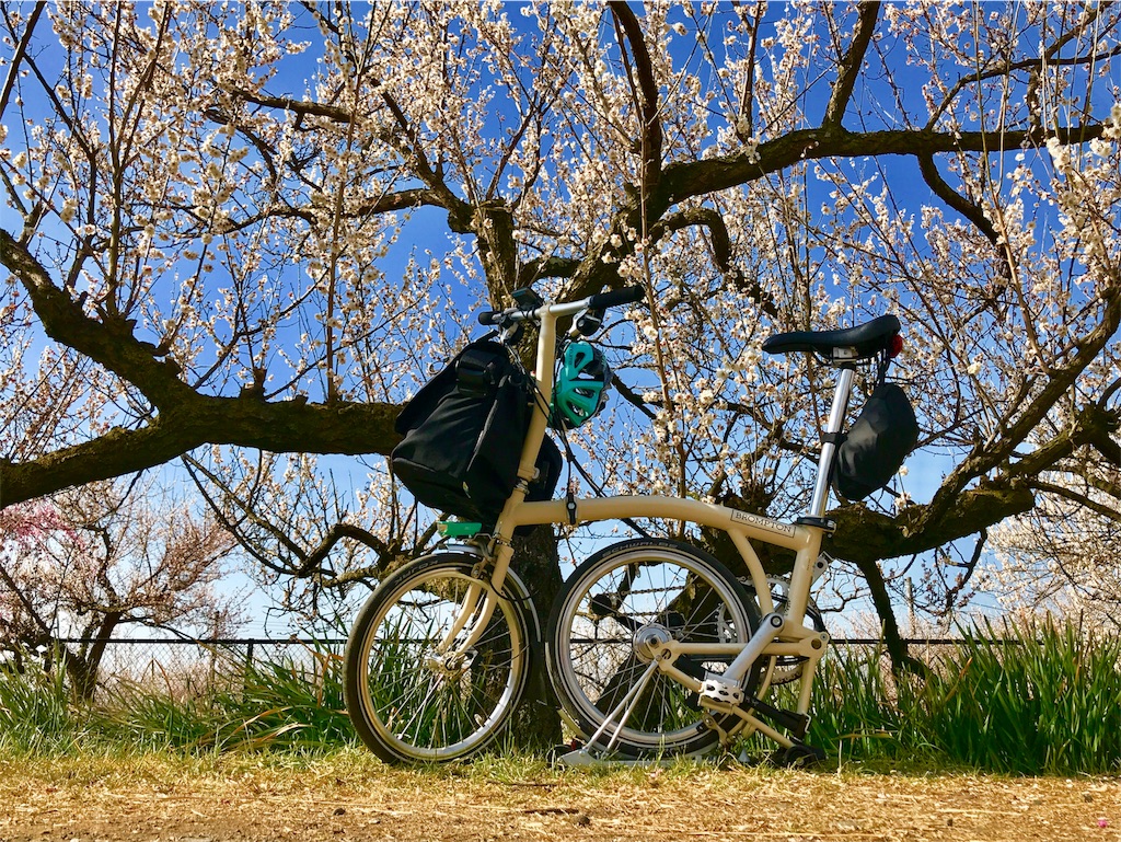f:id:weststreet:20180304233748j:image f:id:weststreet:20180304233748j:image