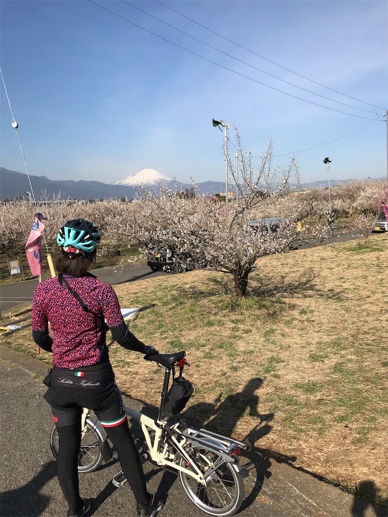 f:id:weststreet:20180304235408j:image f:id:weststreet:20180304235408j:image