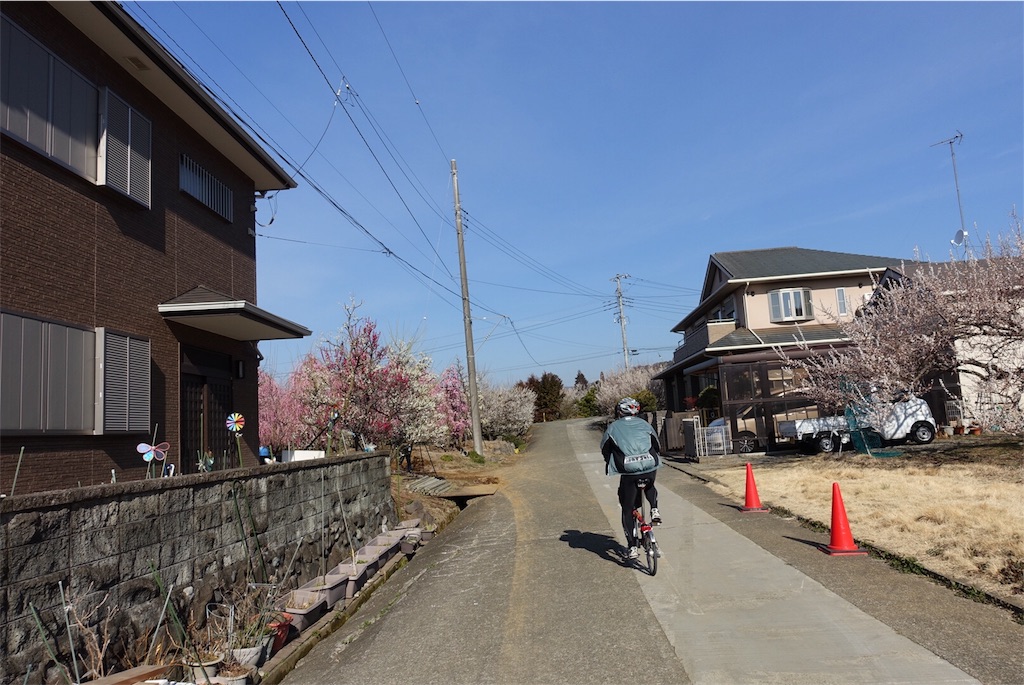 f:id:weststreet:20180305155504j:image f:id:weststreet:20180305155504j:image