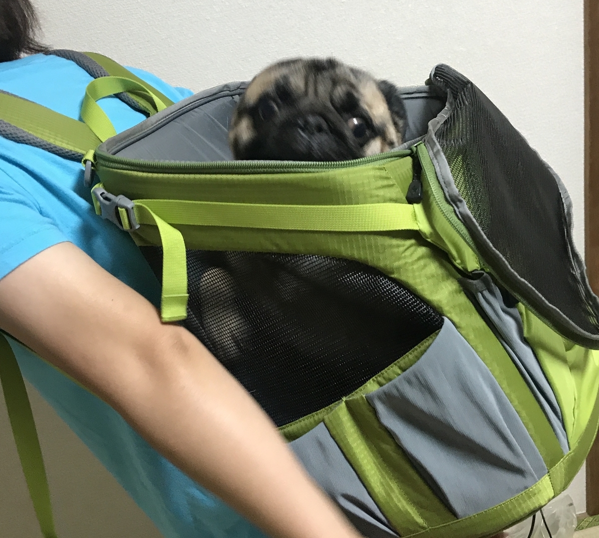 自転車で犬と出かけるママチャリ ペットポーター が便利だぞ ロードバイク辛みのデスロード 自転車で犬と出かけるママチャリ ペットポーター が便利だぞ ロードバイク辛みのデスロード
