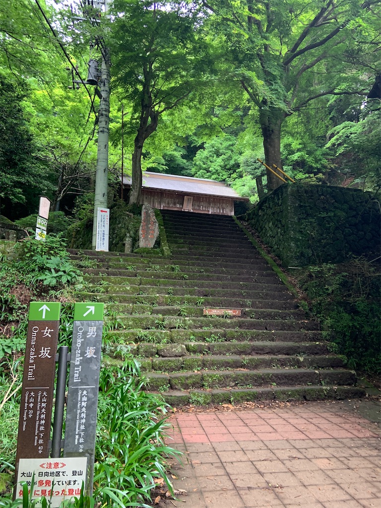 f:id:weststreet:20230219114819j:image