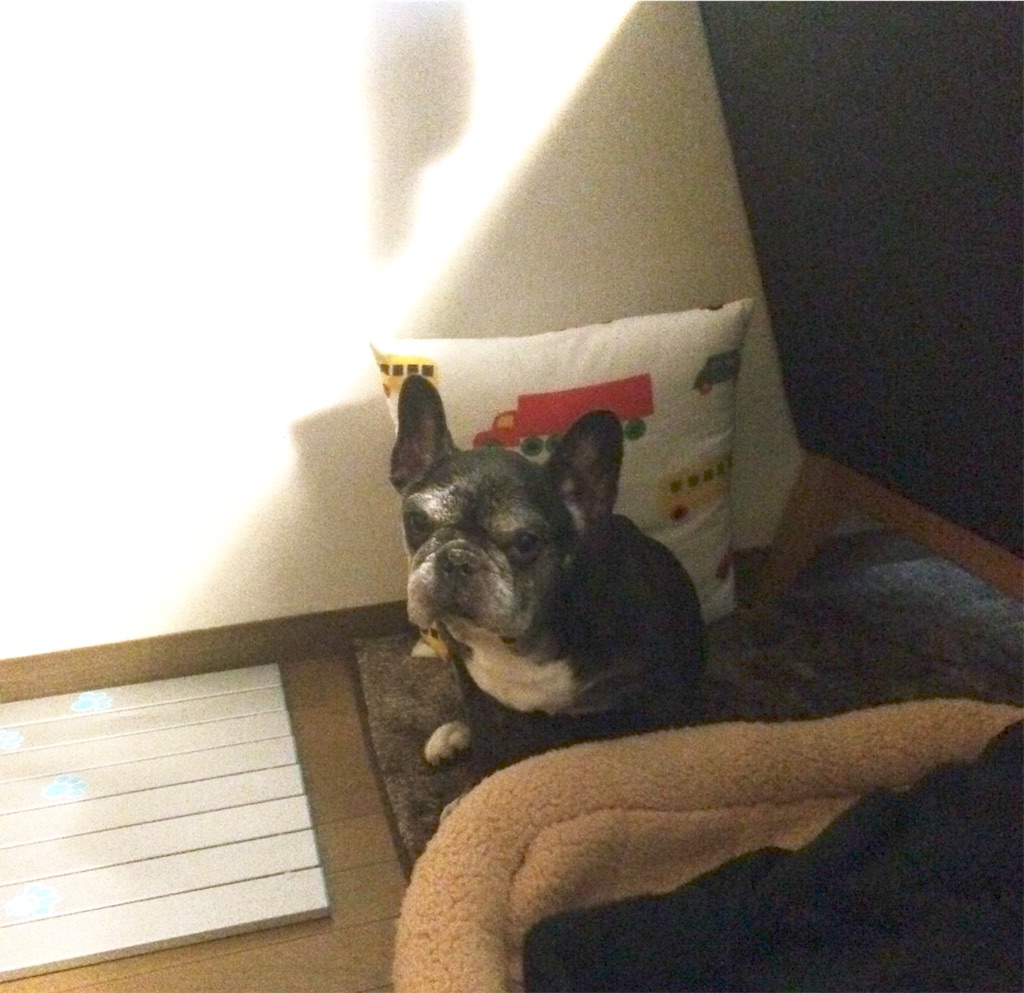 f:id:westway115:20190515153727j:image