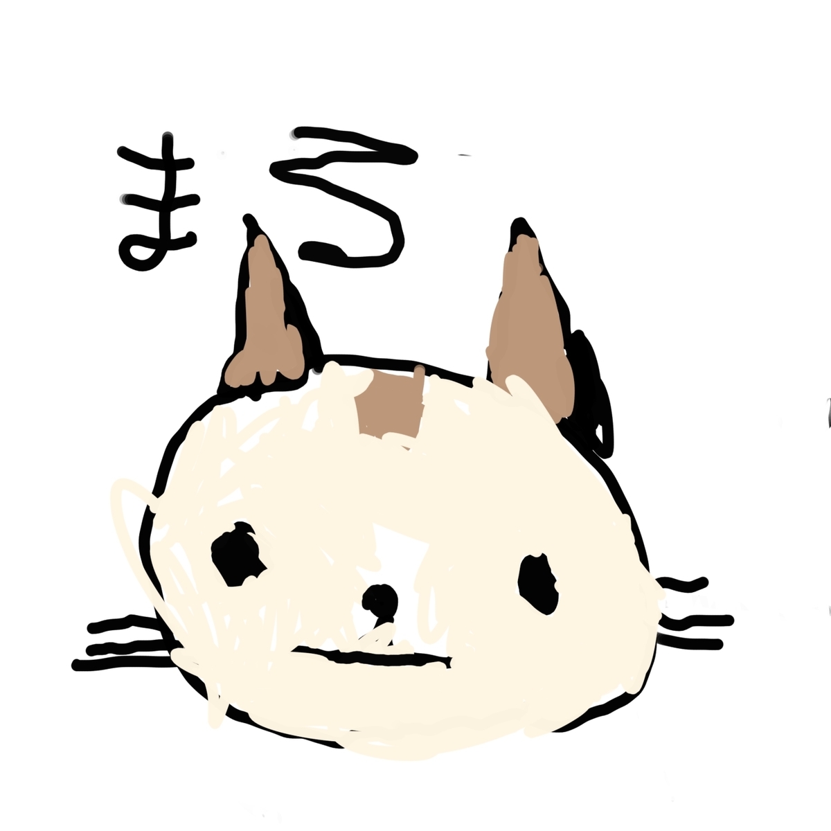 f:id:wf160310-6741:20210513213846j:plain