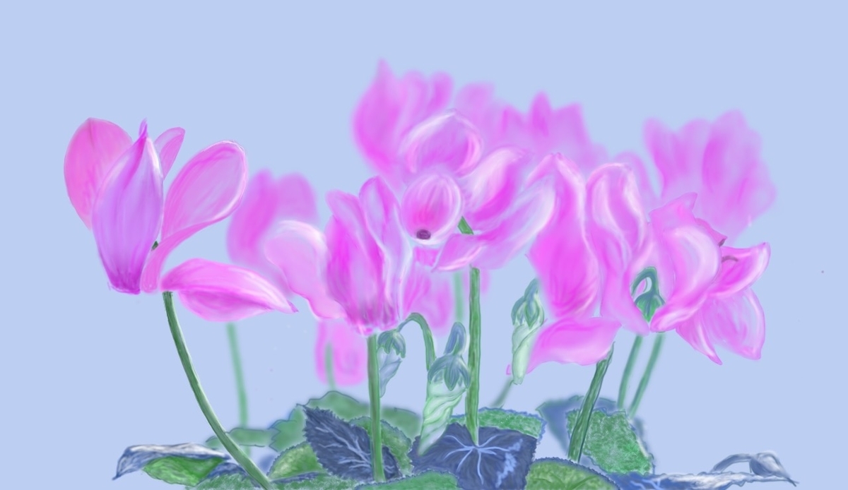 f:id:wf160310-6741:20211201215033j:plain