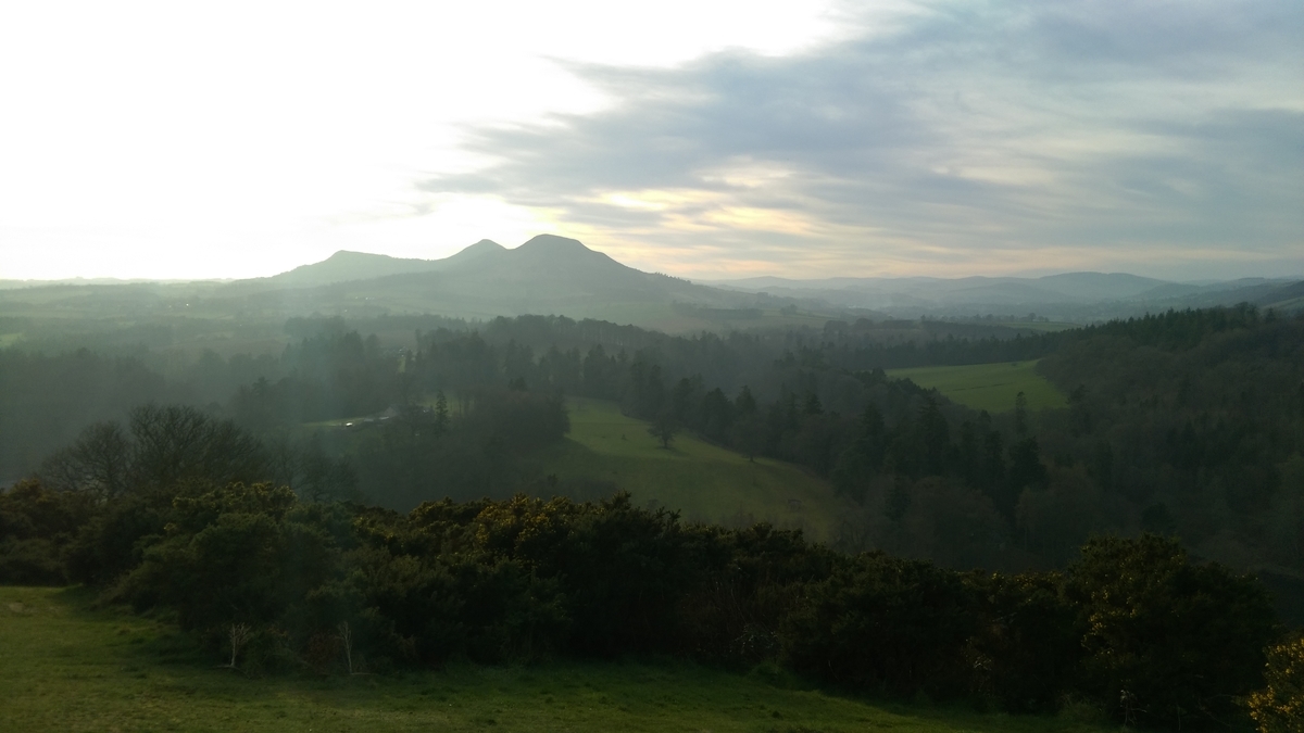 f:id:wfbyd49:20190413021413j:plain f:id:wfbyd49:20190413021413j:plain