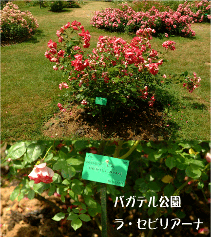 f:id:wfj:20100419171308g:image