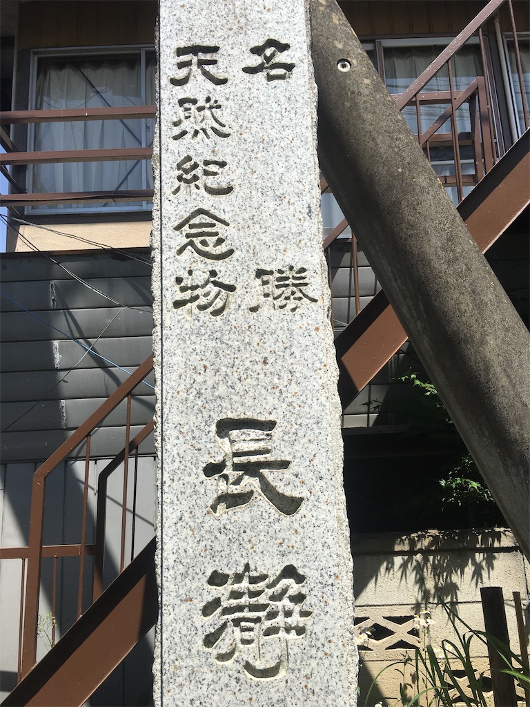 f:id:wguw0708:20200516143045j:image f:id:wguw0708:20200516143045j:image