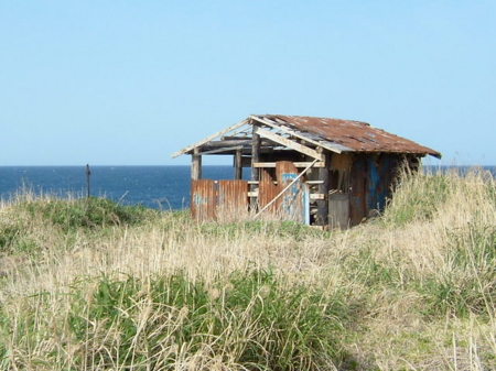 f:id:whalebone:20050503144327j:image:w450 f:id:whalebone:20050503144327j:image:w450