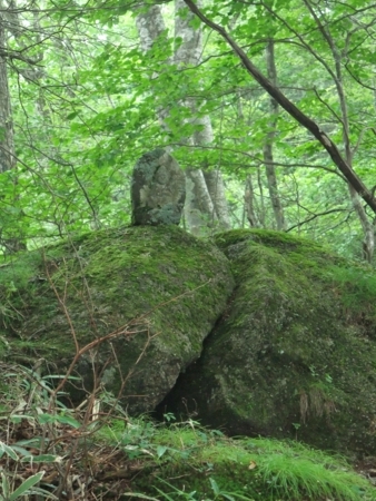 f:id:whalebone:20090812114450j:image f:id:whalebone:20090812114450j:image