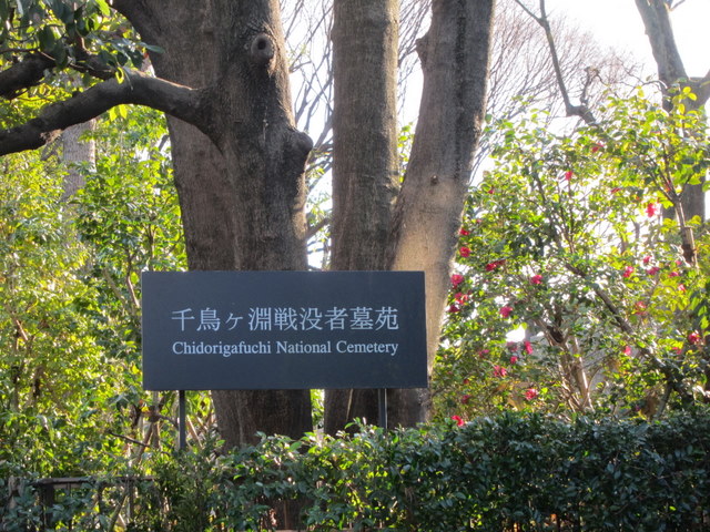 f:id:whalebone:20110122145436j:image:w450