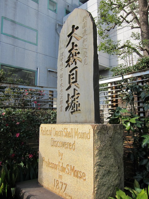 f:id:whalebone:20110123092628j:image:h450
