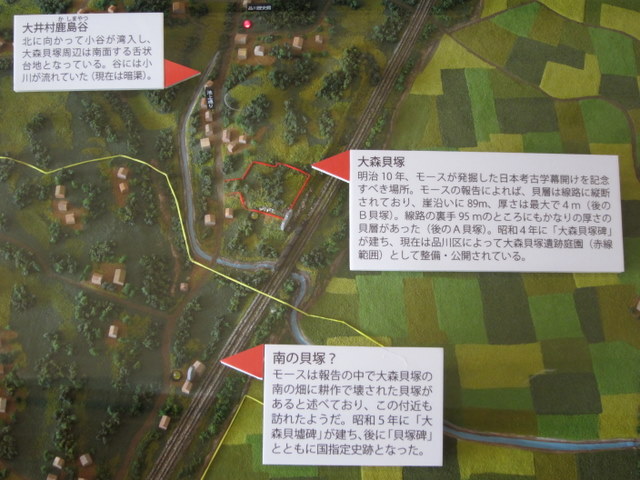 f:id:whalebone:20110123103217j:image:w450