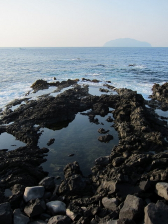 f:id:whalebone:20110430060548j:image f:id:whalebone:20110430060548j:image