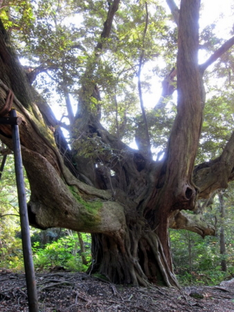 f:id:whalebone:20110430071302j:image f:id:whalebone:20110430071302j:image