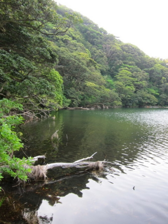 f:id:whalebone:20110430072654j:image f:id:whalebone:20110430072654j:image