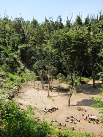 f:id:whalebone:20110430112148j:image f:id:whalebone:20110430112148j:image