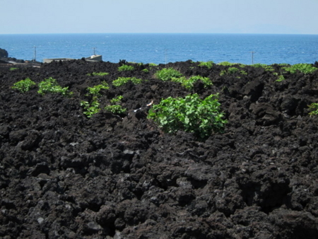 f:id:whalebone:20110430114945j:image f:id:whalebone:20110430114945j:image