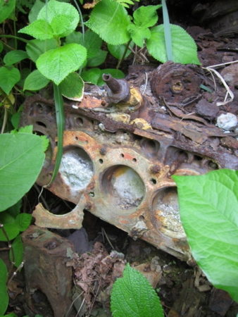f:id:whalebone:20110430135545j:image f:id:whalebone:20110430135545j:image