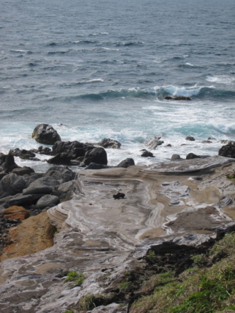 f:id:whalebone:20110430145400j:image f:id:whalebone:20110430145400j:image
