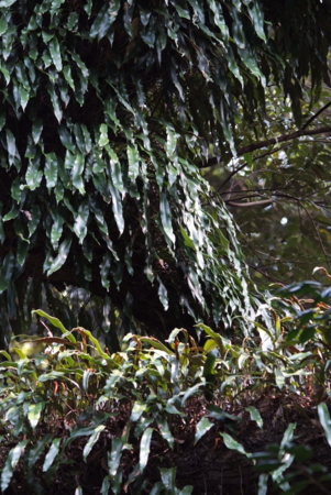 f:id:whalebone:20110430151646j:image f:id:whalebone:20110430151646j:image