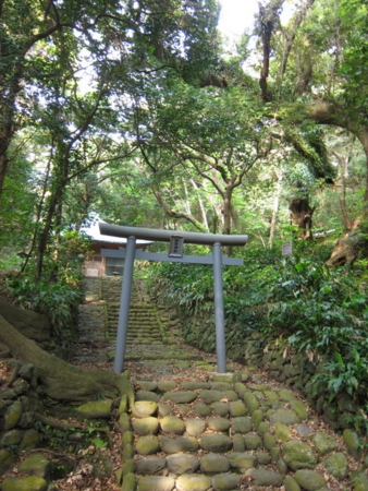 f:id:whalebone:20110430152329j:image f:id:whalebone:20110430152329j:image