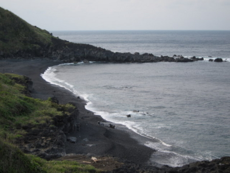 f:id:whalebone:20110430155813j:image f:id:whalebone:20110430155813j:image