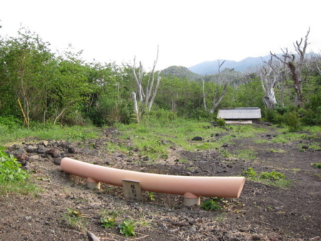 f:id:whalebone:20110430161129j:image f:id:whalebone:20110430161129j:image