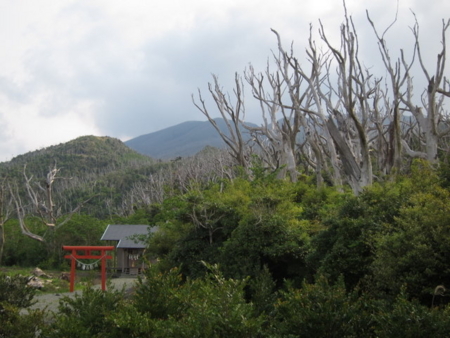 f:id:whalebone:20110430162312j:image f:id:whalebone:20110430162312j:image