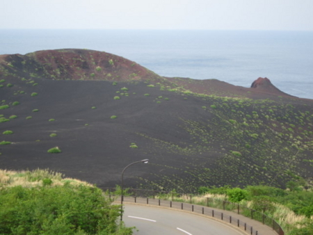 f:id:whalebone:20110430165319j:image f:id:whalebone:20110430165319j:image