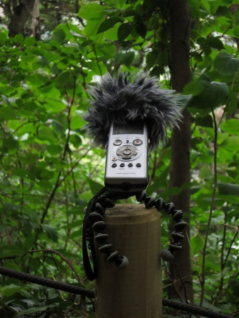 f:id:whalebone:20110501055536j:image f:id:whalebone:20110501055536j:image